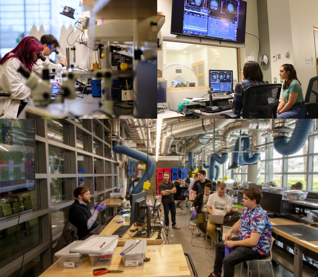 Biomedical Engineering Degree
